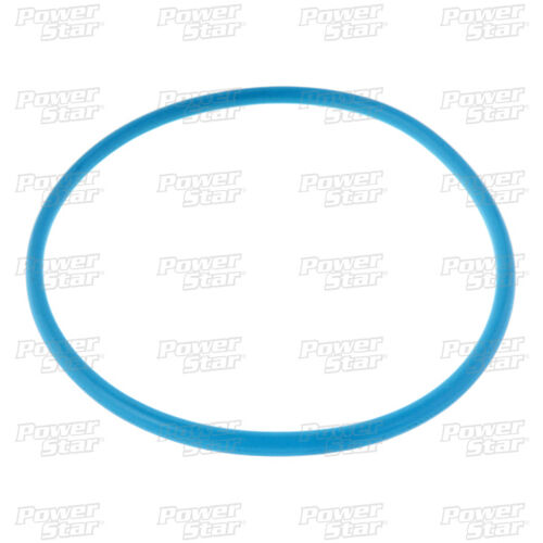Imagen de producto: LIGA (SELLO) O-RING EXTERNO TAPA DEL SERVO 2-4 HULE AZUL TH-700, 4L60E, 4L65E (U1) 84-06 77512A