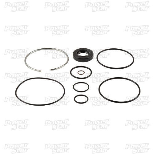 Imagen de producto: REP.  BOMBA F150, F250, F350, F450, F550 11-13